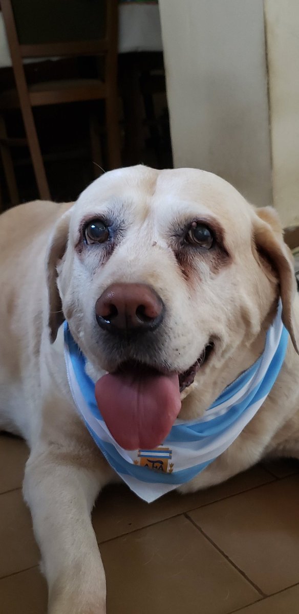panchada's tweet photo. #CadaDíaTeQuieroMás 
#Todoslistos
#VamosArgentina 
#EsHoy https://t.co/vQ96JsDFzv