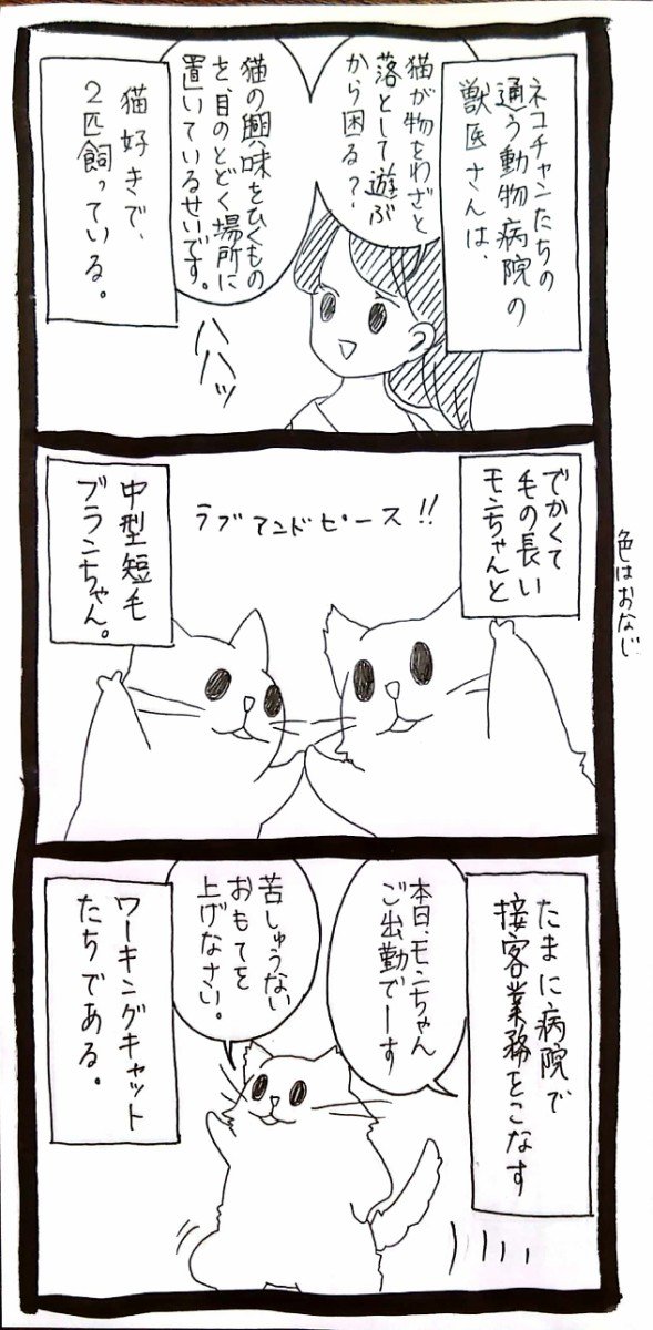 モンブラン秘話1 