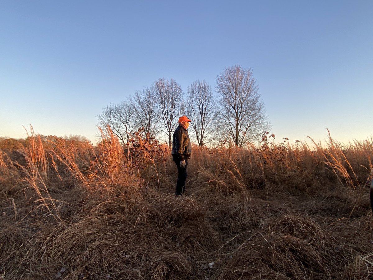 pondaroski's tweet photo. 20221121 Chasing Late Afternoon Chiaroscuro Light Amongst Broomsedge Bluestem Grass During A Global Pandemic, Midland Hills Country Club, Makanda, IL. Z.
#selfportrait
#chiaroscurolight
#pinholephotography
#globalpandemic
#physicaldistancing
#orangehat
#pondaroski
#JoeZiolkowski https://t.co/KJRRJ95zVr