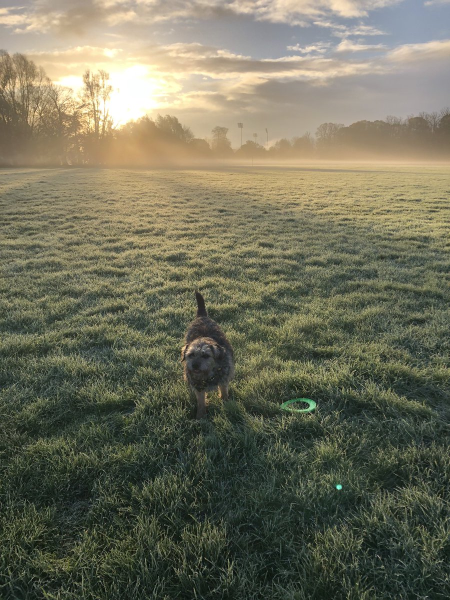 Tobi_LeRone's tweet photo. My favourite type of morning - frosty, misty & sunny 😁 #Frosticles #NumbBum https://t.co/JYsgZpi5oM