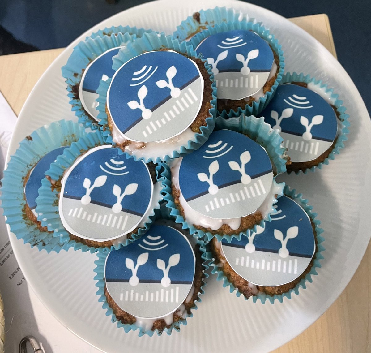 felix__bauer's tweet photo. Awesome @PhenoRob muffins from our intern Lisa on her last day. Thank you @Faithazel01 🥧 https://t.co/WDvWIORf2p