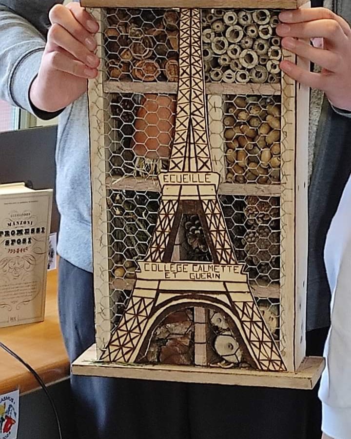 🌍 Le projet S.A.V.E. continue avec les collégiens de Calmette et Guérin d'Écueillé en Italie pour la 3ème partie : « Time for actions ».
--
🐞🐝Les élèves ont apporté l'hôtel à insectes qu'ils ont réalisés pour le mettre dans la cour du collège italien.🇮🇹 
#Erasmus #EDD <a href="/EDD_aot/">EDD Académie Orléans-Tours</a>