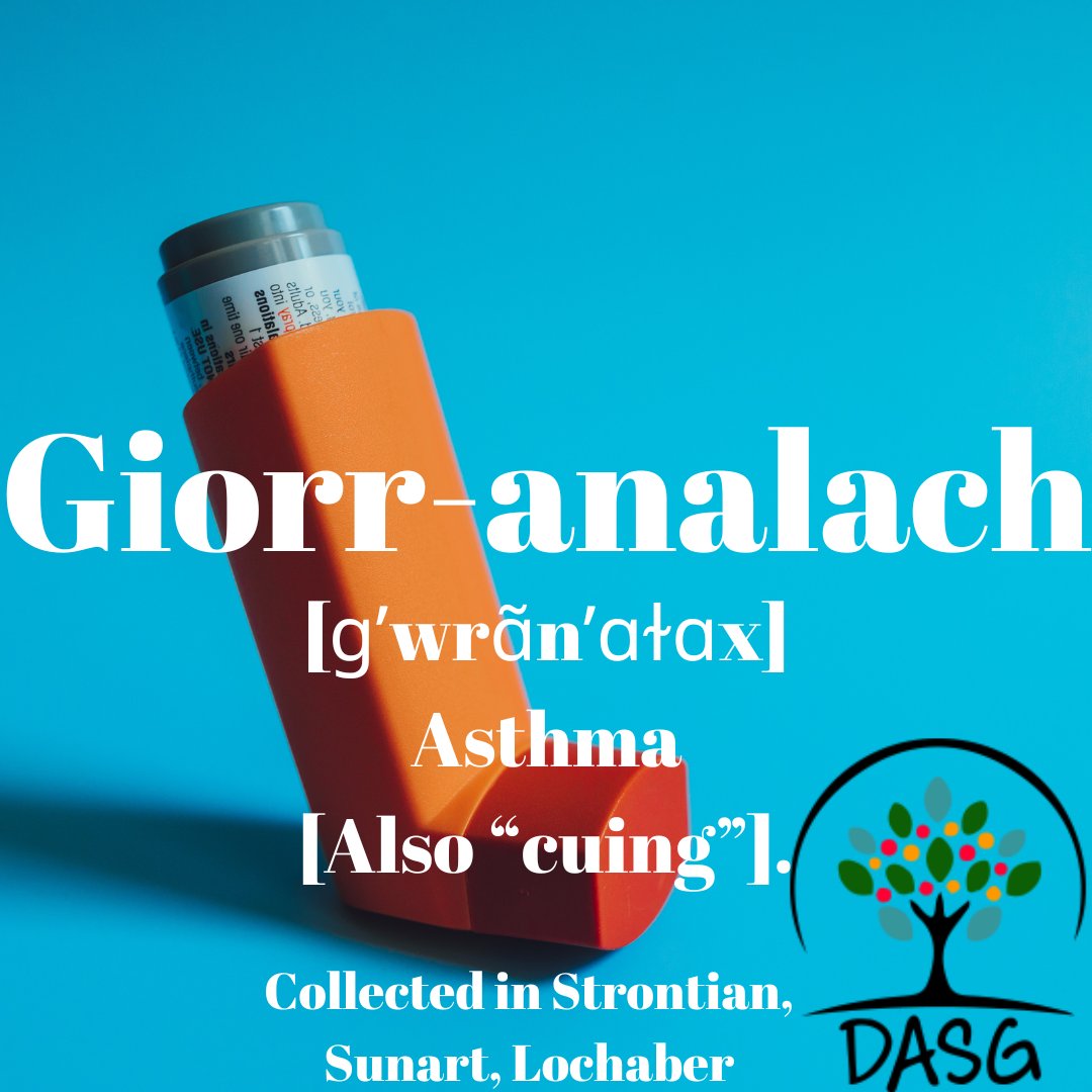 DASG_Glaschu's tweet photo. https://t.co/LuxSll36ZP
💨
GIORR-ANALACH - ASTHMA
🌬️
#GiorrAnalach #Cuing #Asthma #Sac #Asthmatic #BeCareful
😨
#SrònAnTSìthein #Strontian #LochAbar #Lochaber #Gàidhealtachd #Highlands
#Alba #Scotland
#Gàidhlig #Gaelic #ScottishGaelic
#DigitalArchiveofScottishGaelic #DASG https://t.co/dJtTcQgucO