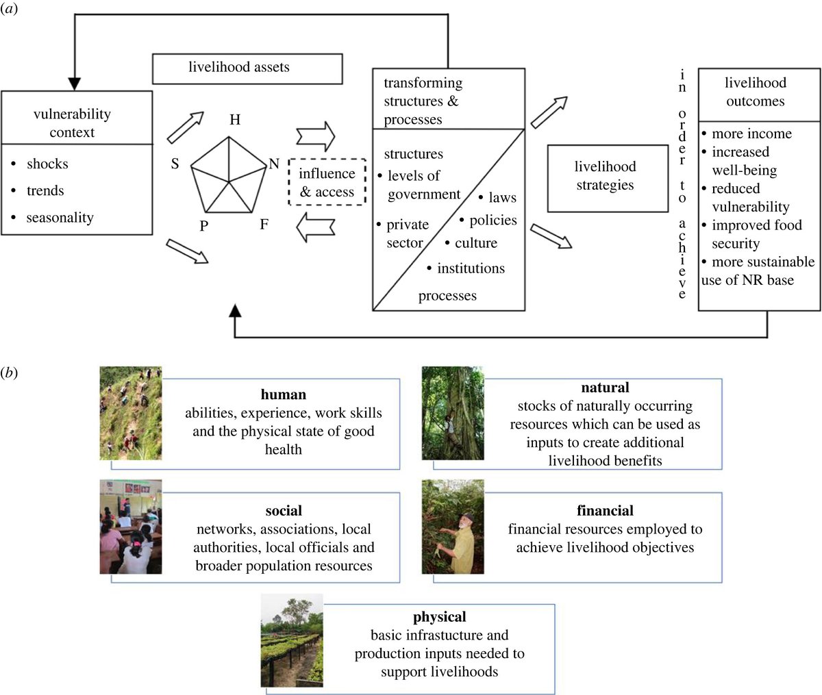 Royal Society Publishing (@rsocpublishing) on Twitter photo The community capacity curve applied to reforestation: a framework to support success: ow.ly/SVf250LCCaa <a href="/Science4forests/">Science for Forest Restoration</a> #PhilTransB #ecosystems The community capacity curve applied to reforestation: a framework to support success: ow.ly/SVf250LCCaa <a href="/Science4forests/">Science for Forest Restoration</a> #PhilTransB #ecosystems
