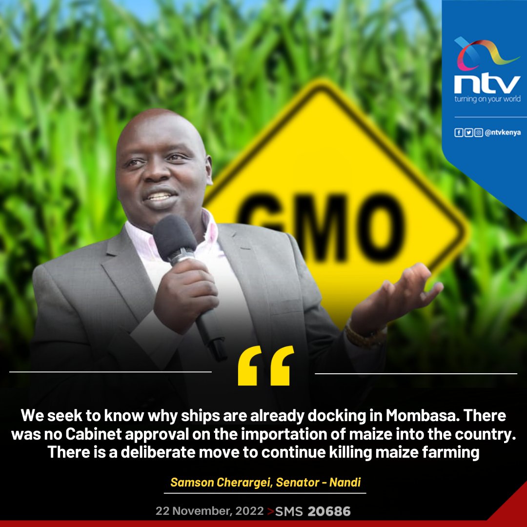 ntvkenya's tweet photo. Cherargei: We seek to know why ships are already docking in Mombasa. https://t.co/RMVPmrLhSY