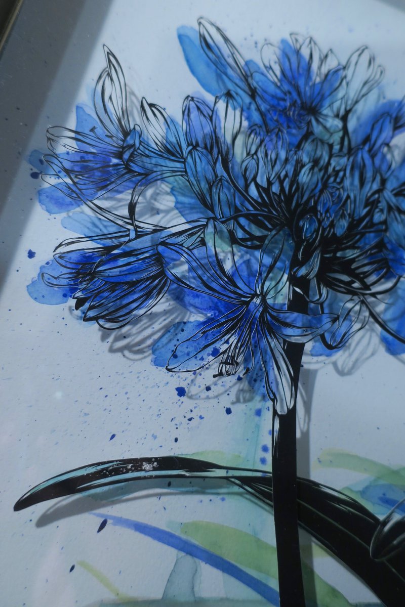 flower traditional media blue flower no humans solo shadow general  illustration images