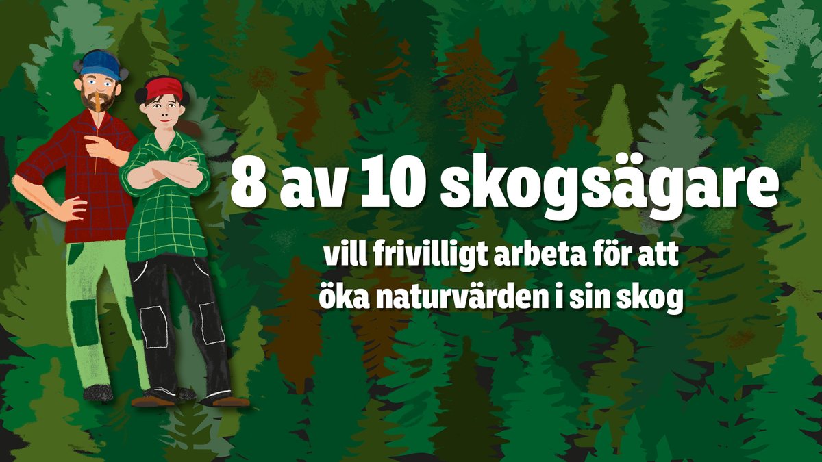 8 av 10 av Sveriges enskilda skogsägare vill arbeta för att öka naturvärdena i skogen. Det visade en medlemsundersökning från 2021. Nu ligger ett förslag på en modell för naturskydd baserat på frivillighet på <a href="/naturvardsverk/">Naturvårdsverket</a> och <a href="/Skogsstyrelsen/">Skogsstyrelsen</a> s bord. bit.ly/3V86kFI