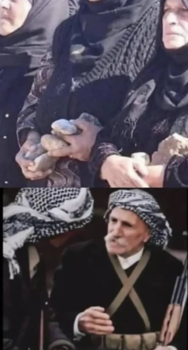 pwrxaa's tweet photo. نژاد پرست نیستم 
ولی این نژاد شایسته‌ی پرستشه ! https://t.co/iM0ONMIwa5