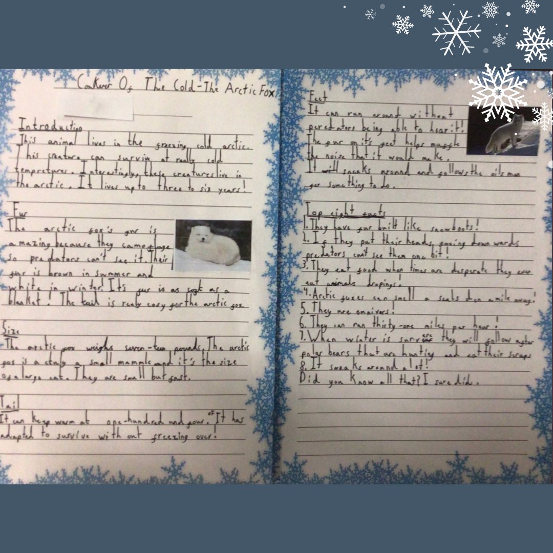 TrainingSpace's tweet photo. Some amazing non-chronological reports about arctic foxes produced by Windhill21 Primary School's Year 3 Handel Class, based on our Skeletons and Muscles Unit Plan! 🦊 ❄️
To subscribe to our library of 150+ Unit Plans, click here: https://t.co/S0qgyEuQrq
#UnitPlanFam https://t.co/uN69cfL8TJ
