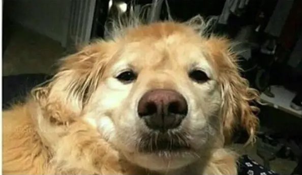 chicacomedia's tweet photo. Yo viendo el primer gol de Messi jugando en Argentina a las 7am https://t.co/OLiw9lhQoJ