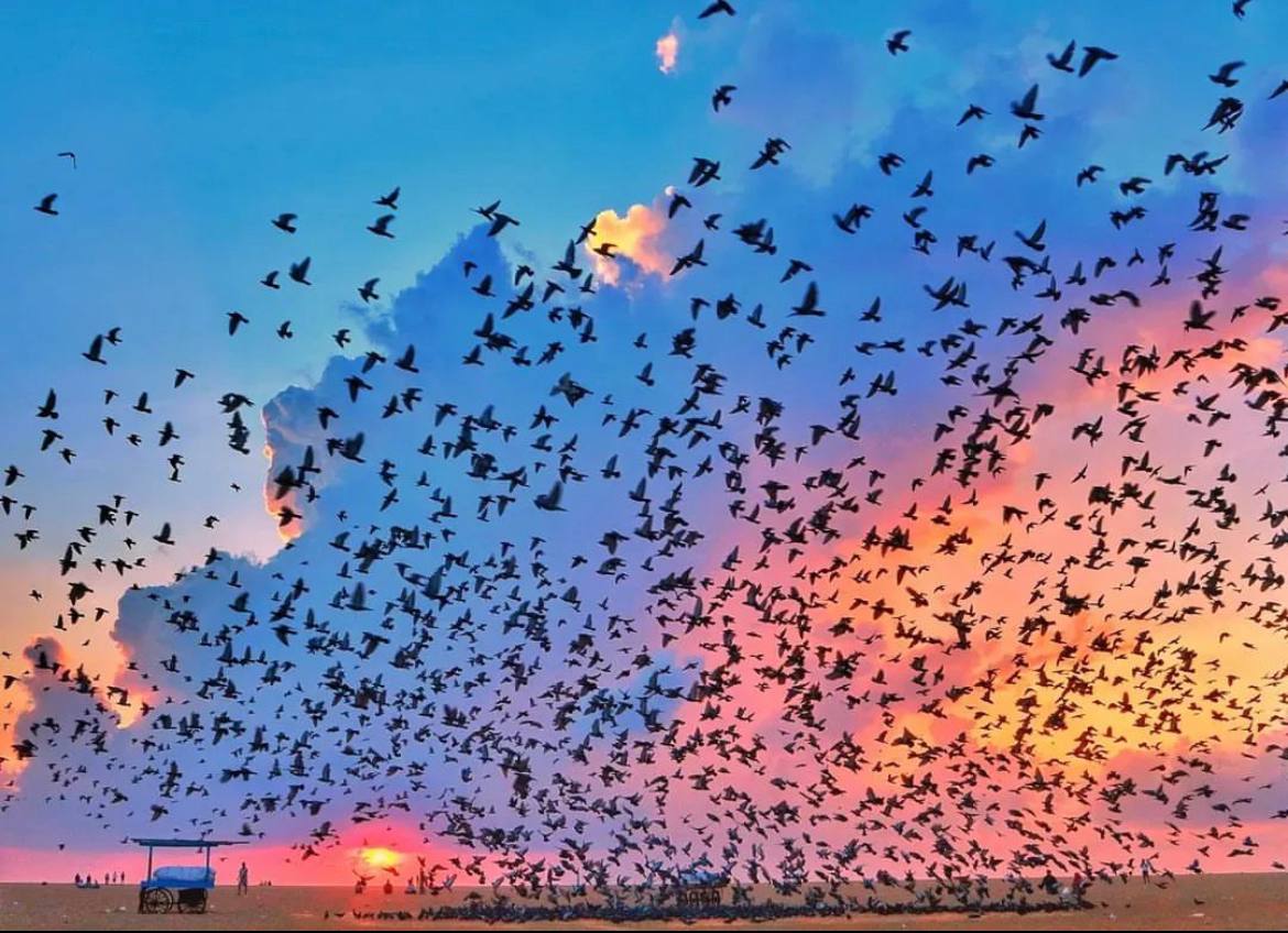 PinftagramMP's tweet image. Featuring "Pigeons at Marina" by CryptoGhost🔥

Another beautiful picture turn into NFT on PINFTAGRAM by CryptoGhost. Our platform allows you to easily save your best memories in the form of NFTs.

👉pinftagram.com/indivtoken?tok…

🌐linktr.ee/pinftagram