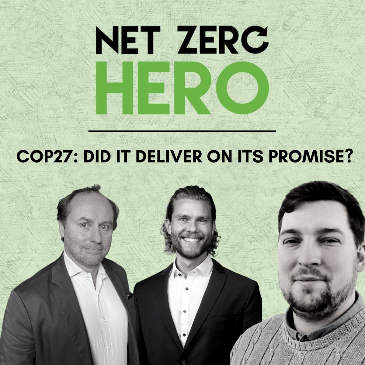 netzeroprofessional tweet media