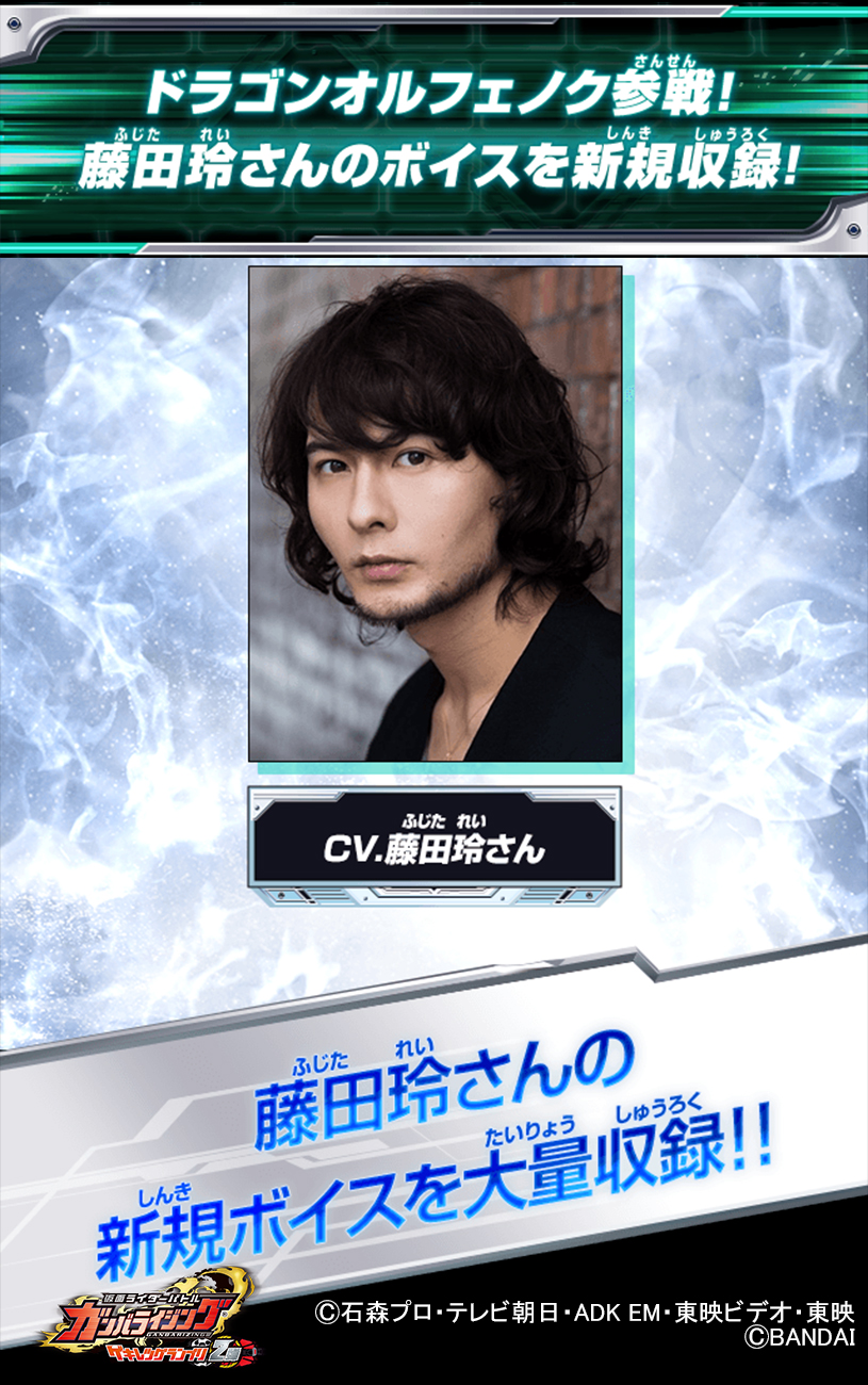 データカードダス 仮面ライダーバトル ガンバライジング Ganbarizing