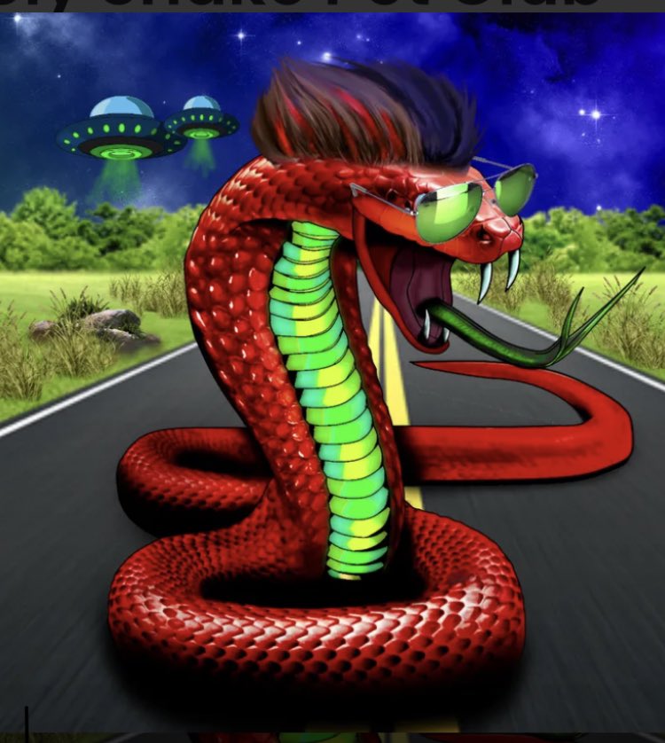 reptilelovernft's tweet photo. Competition Time ππ To Celebrate Our Upcoming Launch We Are Raffling Poly Snake Pet NFT #00004, To Enter Follow Us, Retweet & Confirm On Our Discord Competition Page - https://t.co/D0gejcM39a π
#nft #NFTs #NFTGiveaway #NFTraffle #NFTCommmunity #NFTGiveaways #polysnake #nfts https://t.co/wuzxQOBfSL