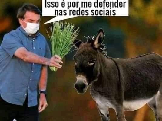pracimabrasil23's tweet photo. @GilmarGpexco https://t.co/Z9o3M2SDuv