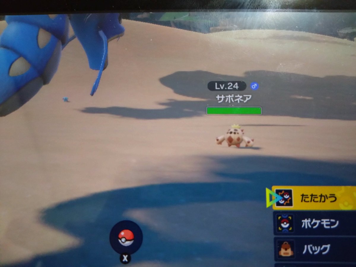 ノクタス色違いエラー Clinicacampinas Com Br