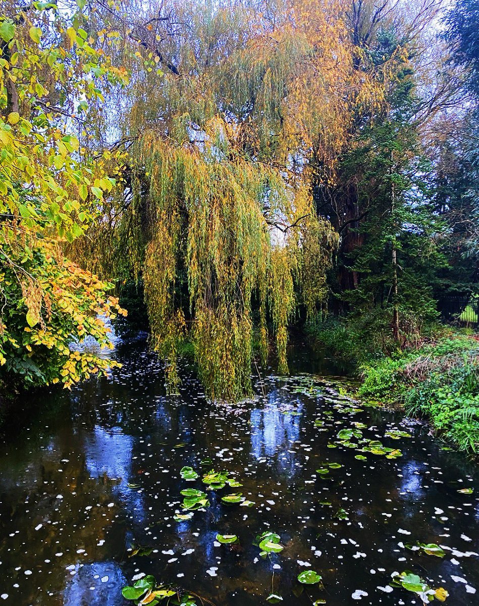 Miss M Thomas tweet media