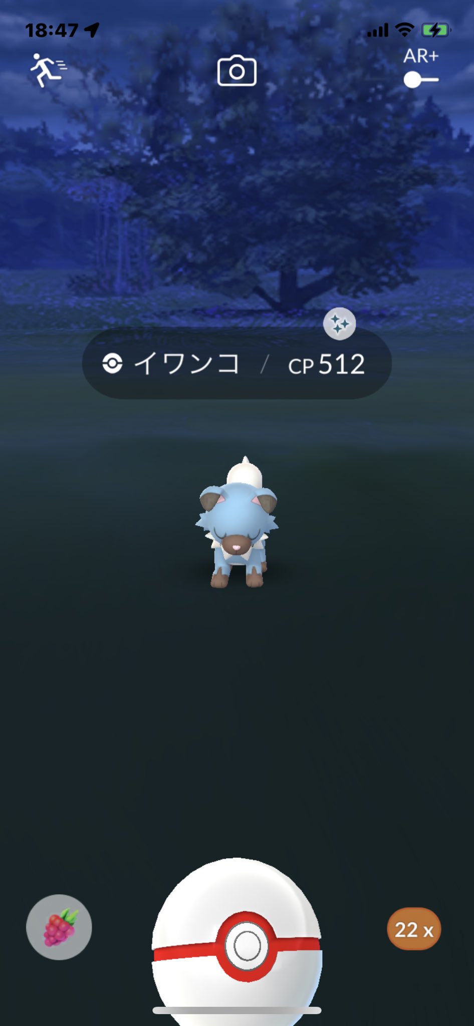 6 Q5lp965d8okm