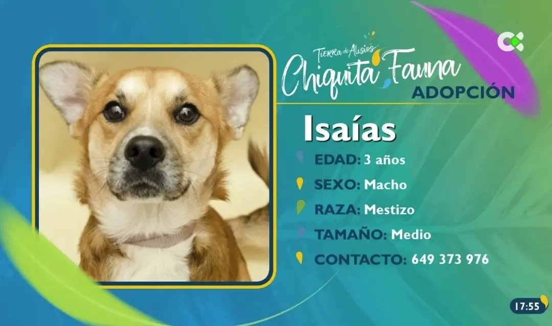 Tierra de Alisios tweet media