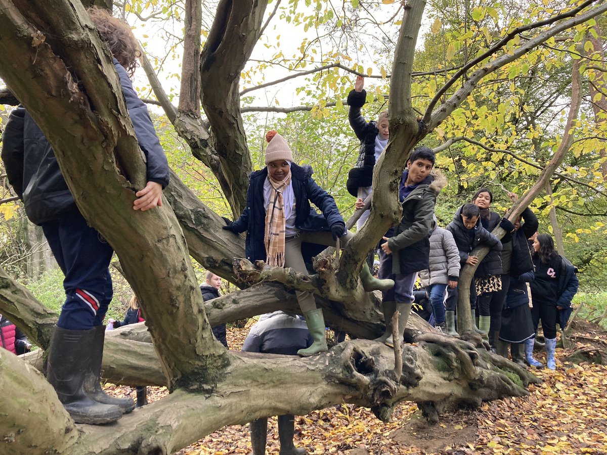 CubittTownPri's tweet photo. We found the perfect climbing tree! @LoveGorsefield https://t.co/n7i9r90Dxc