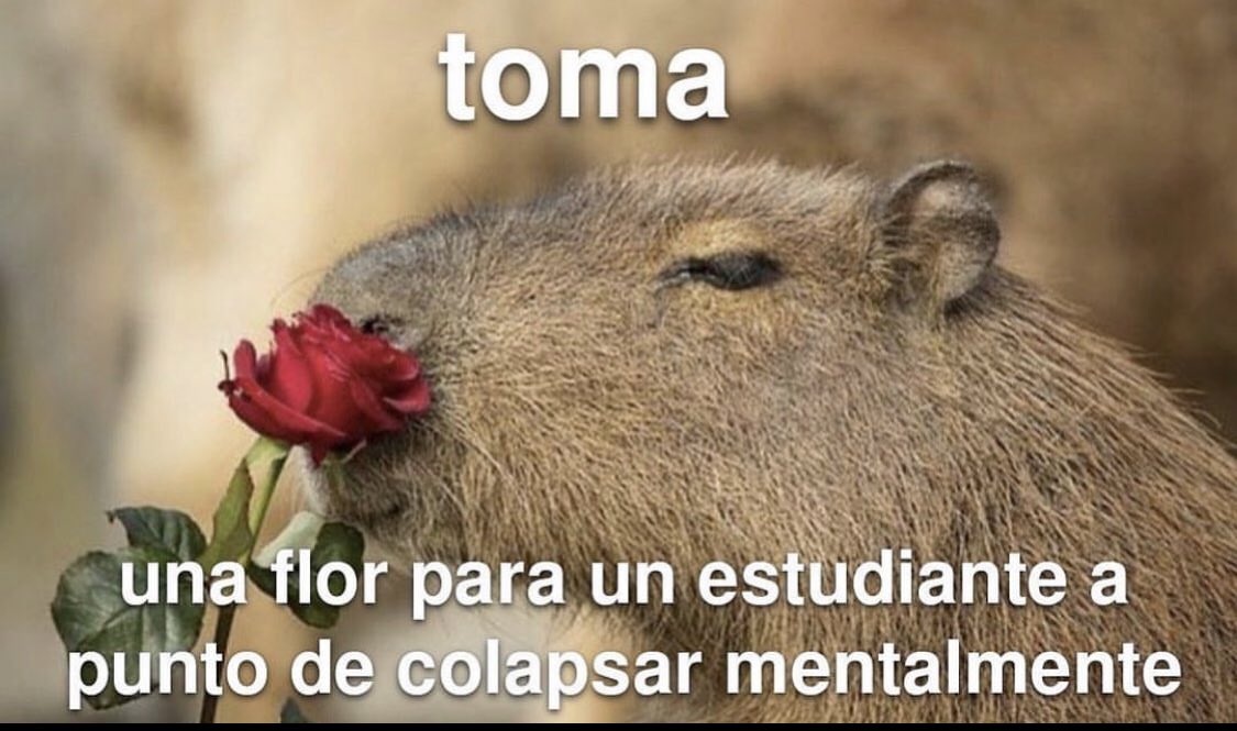 gorilafumon🚬🦍 (@iratxelopxz) on Twitter photo 