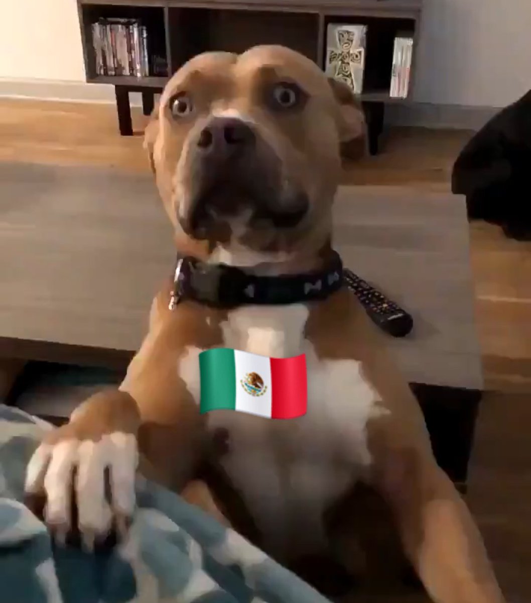 Todo México viendo que Arabia Saudita juega bien