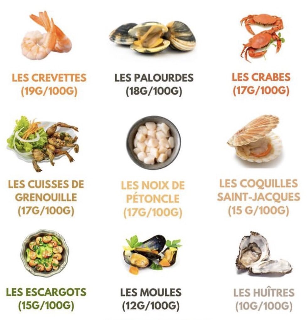 TeleMediaFr on X: "🍎 9 fruits de mer riches en protéines https://t.co/1PZqEnhOHc" / X