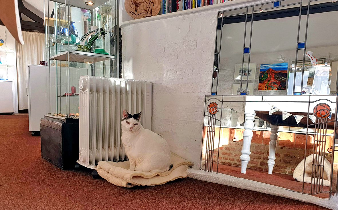 it didn't take somebody very long to realise we have finally put the heating on in the gallery today.
#CatsOnTwitter #catsatwork #catsincharge
<a href="/OldDairyFarmNN7/">Old Dairy Farm NN7</a>