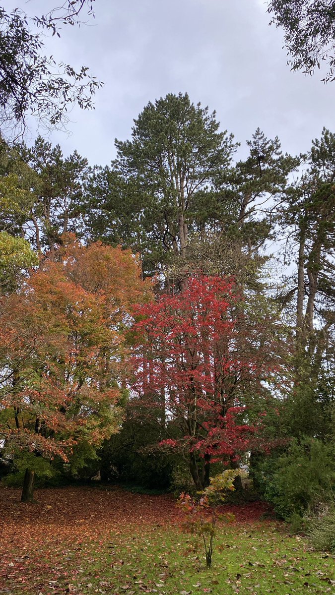 Miss Thomas tweet media