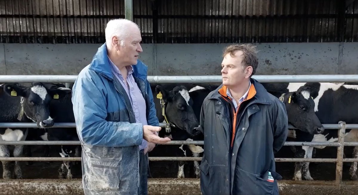 “It`s a bit like an MOT”
Check out this video where Joe Tobin, Breeding Advisor with <a href="/MunsterBovine/">Munster Bovine</a> explains how to Body Condition Score cows, what the ideal BCS is and also gives tips for drying off. 🙌 shorturl.at/eKYZ6
 #dryoff #bodyconditionscore