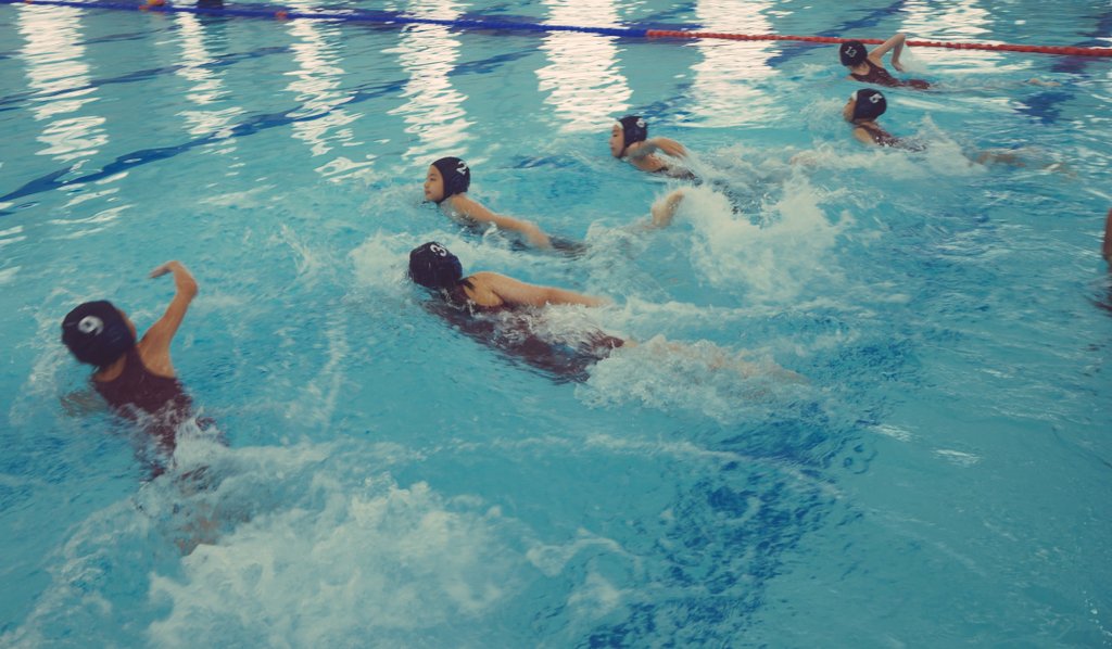 Shrewsbury Sport tweet media