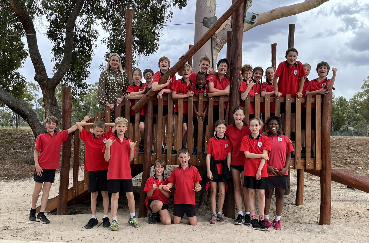 Lisa Criddle tweet media