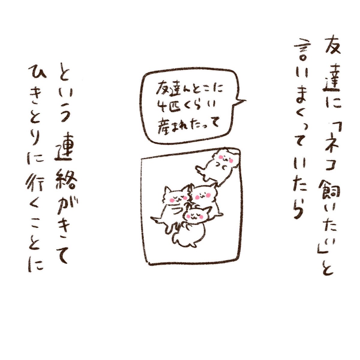 トンちゃんの誕生日② 