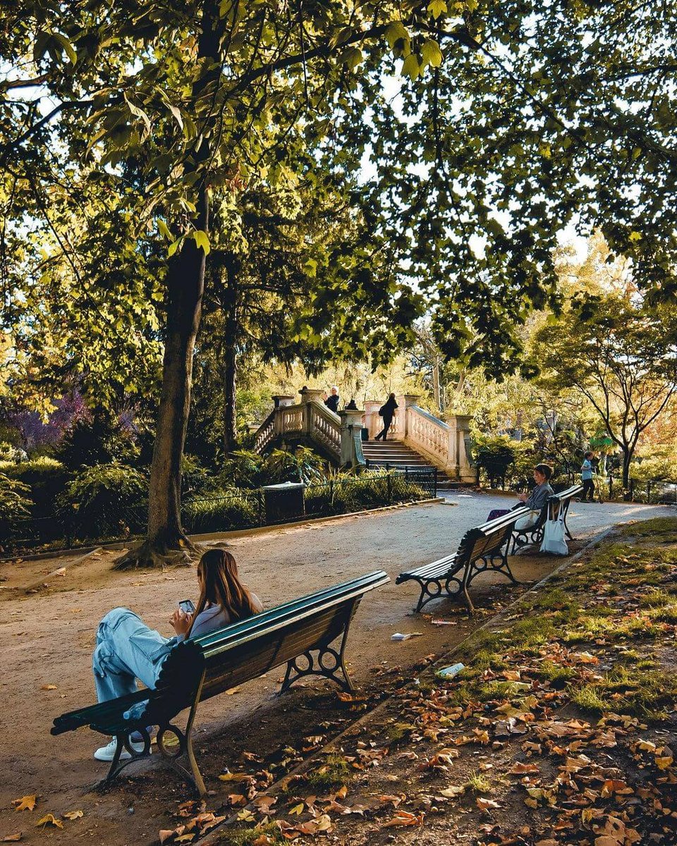 hipparisblog's tweet photo. Sunny days in Paris gardens. Not too long ago.
Photo: @unealternanteaparis
#parisgarden #parislove #hipparis #unealternanteaparis #fallinthecity #exploreparis https://t.co/6I7NEEPIC7