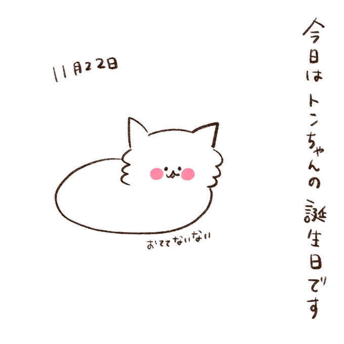 トンちゃんの誕生日① 