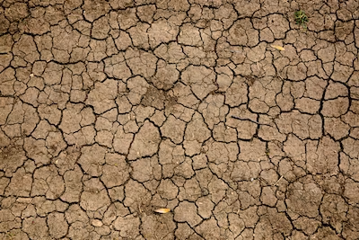 NatureBasedSols's tweet photo. 7/
We also welcome the agreement made to establish a loss &amp; damage fund for vulnerable countries who have contributed the least but suffer the most from #climatechange impacts. Healthy ecosystems play an important role in helping people reduce and adapt to these impacts. https://t.co/glAB9R5zq3