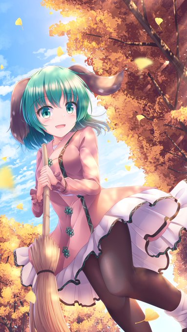 掃きがいのある季節 