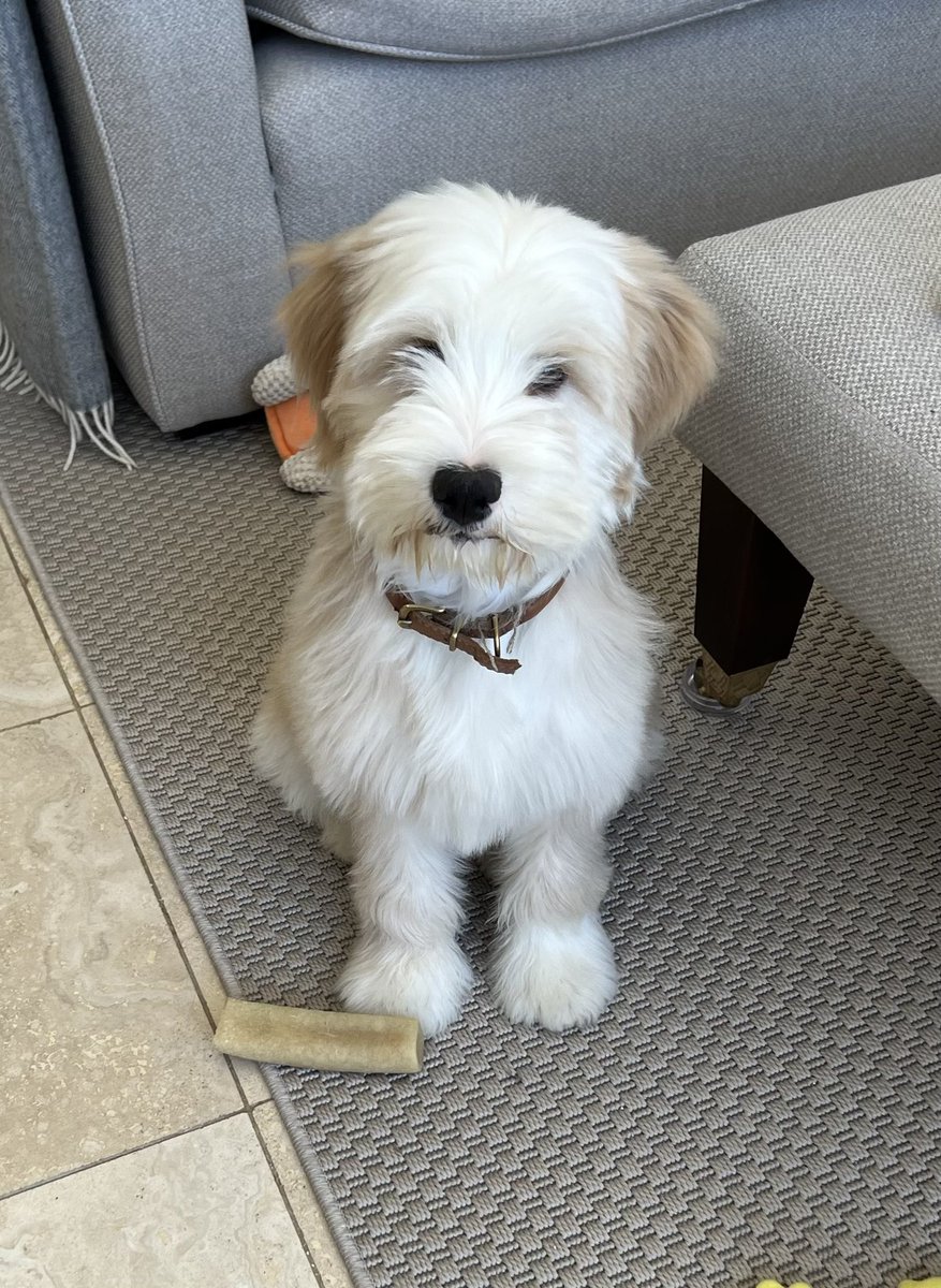 Michael Ball OBE💙 tweet media