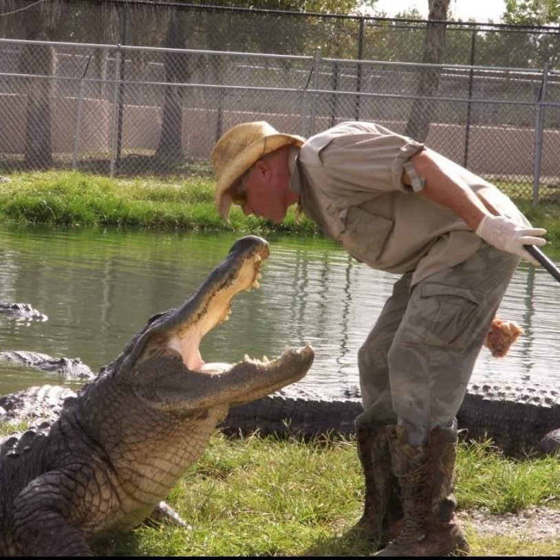 gator_kenyon's tweet photo. #NewProfilePic https://t.co/fyGC8T26lR