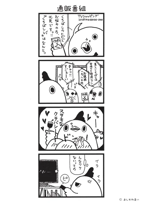 通販番組 