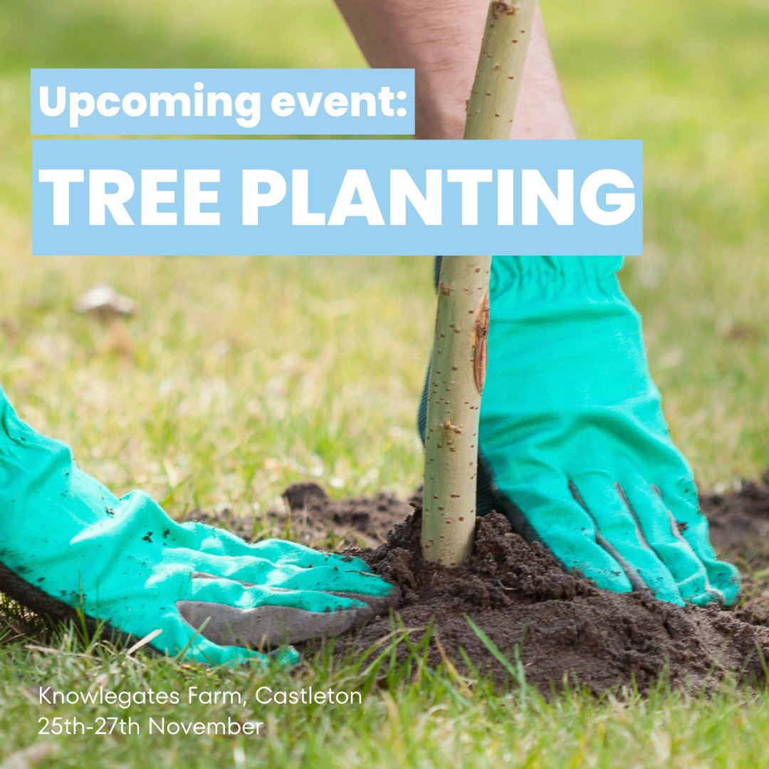 HopeClimate's tweet image. Join us for a tree planting event at Knowlegates Farm, Castleton, from the 25th-27th November 🌳🌳

Please register your interest here: eventbrite.co.uk/e/tree-plantin…