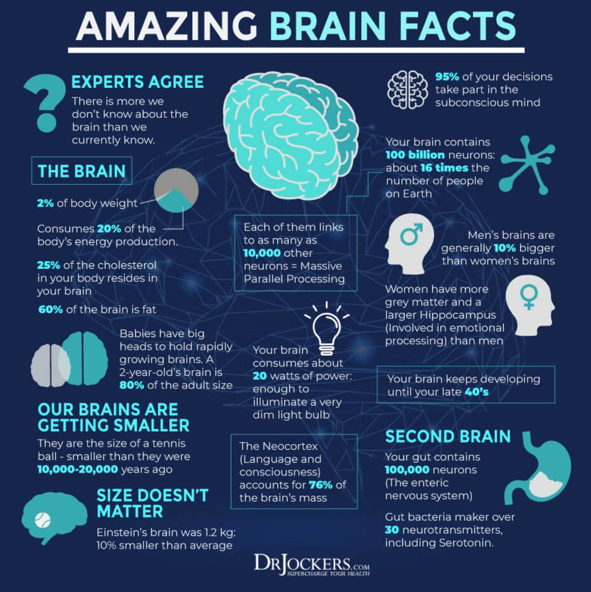 DCLearningHub's tweet photo. #learningleaders #facts #dclearninghub https://t.co/a2TNf5bGmO