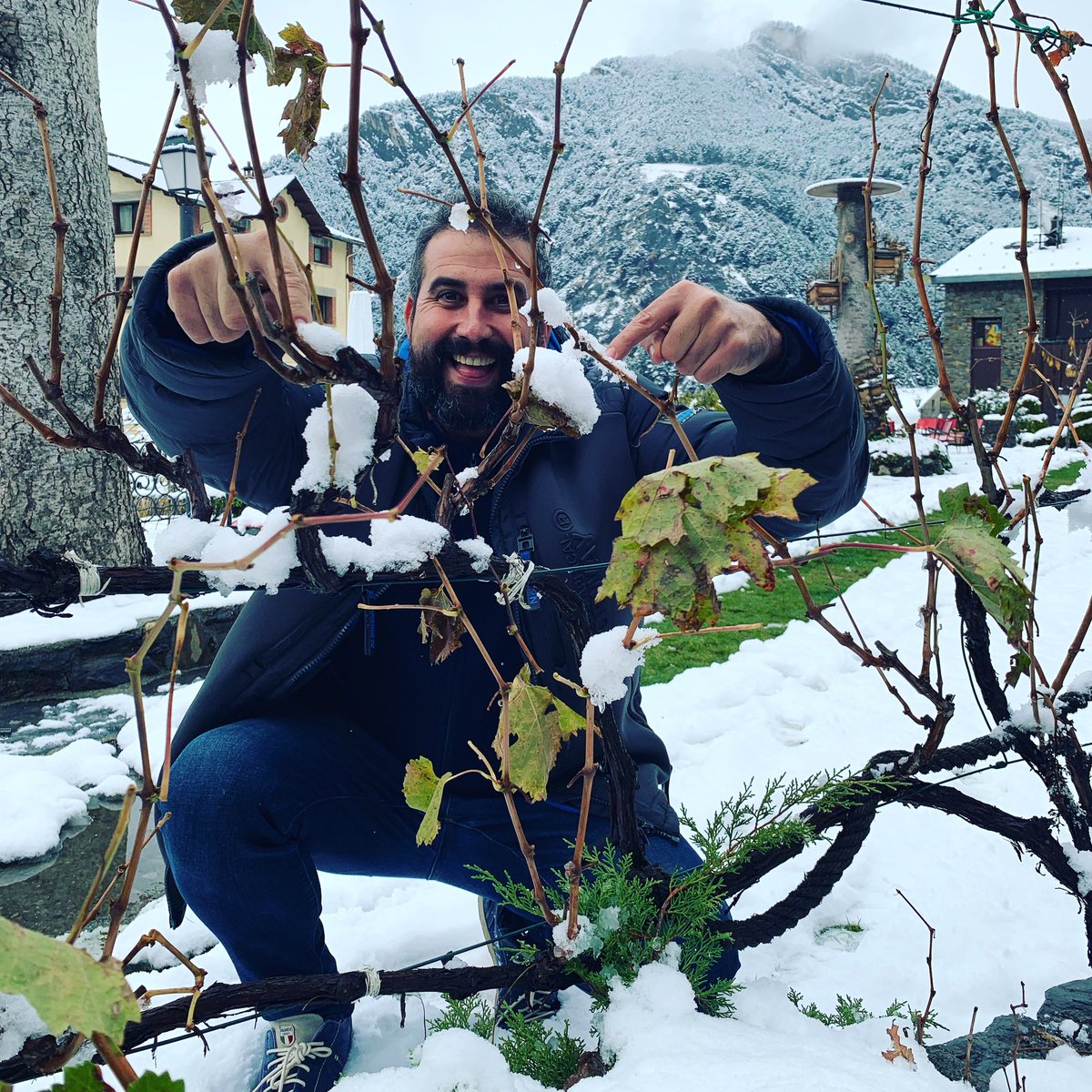 PasconaMontsant's tweet photo. Andorra les vinyes ja estan nevades! Pasconitzant Andorra!!
.
@kafex_andorra @domontsant
.
#pasconitzantandorra🇦🇩 #cellerpascona #pasconitzant #paisoscatalans #domontsant #vesaperelsteusomnis #mesde30anyspasconitzant #salutivi💪🍷 https://t.co/CszY2OlnnN