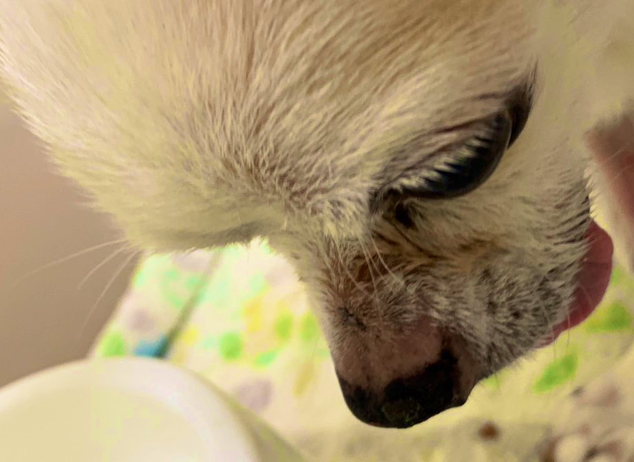 明日退院出来るかも？