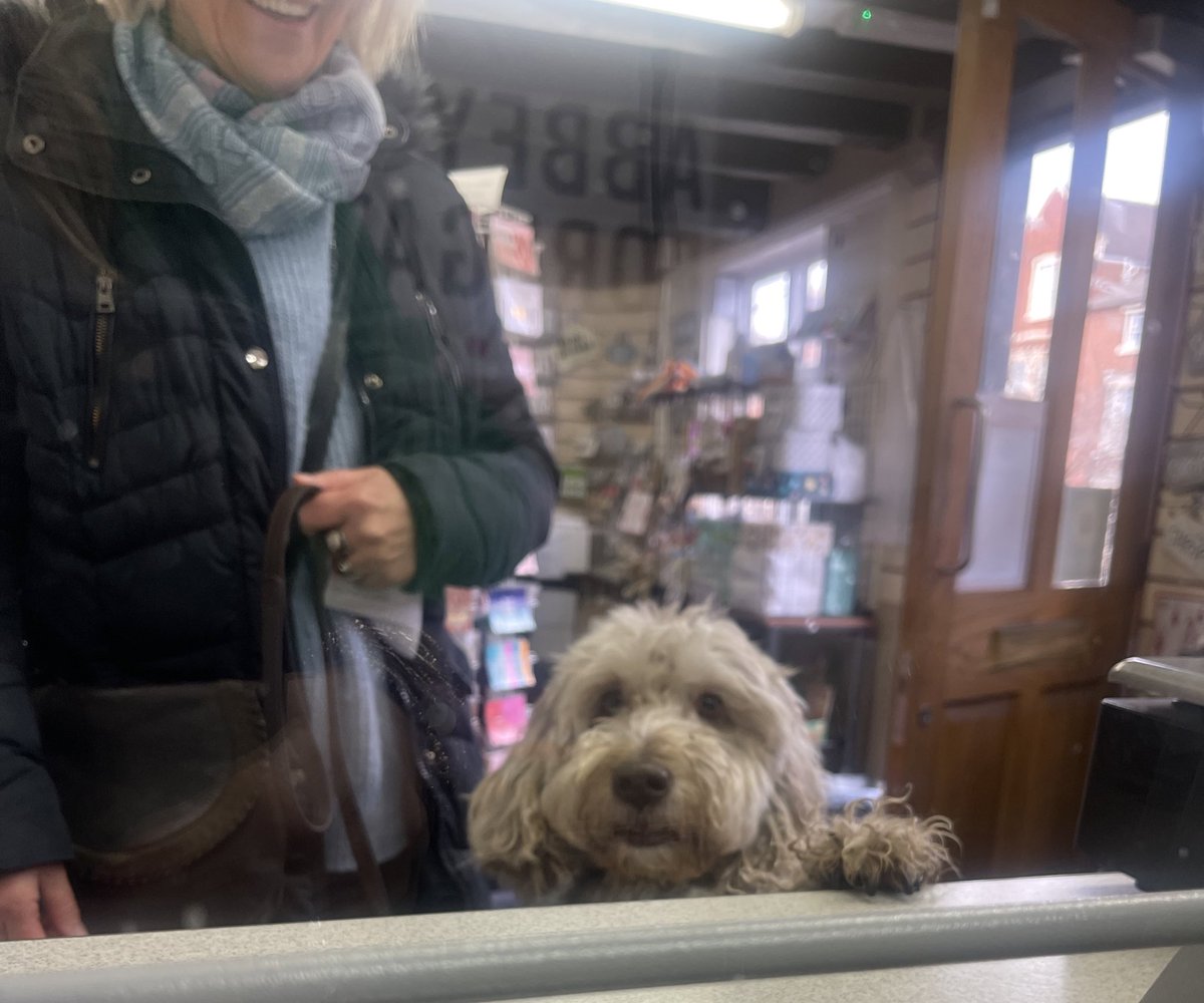 abbeyforegatePO's tweet photo. Good morning from JoJo ๐ถ
Dog friendly MAIN Post Office OPEN Mon to Fri 9am - 5.30pm offering full range of PO services, quirky gifts & cards & of course doggies treats ๐พ
๐พ๐ถ ๐พ๐๐พ๐ฉ๐พ๐ฆฎ๐พ๐โ๐ฆบ๐พ
#postoffice #abbeyforegatepostoffice #shrewsbury #dogsfriendly #dogswelcome ๐พ https://t.co/1GaJytgmNr