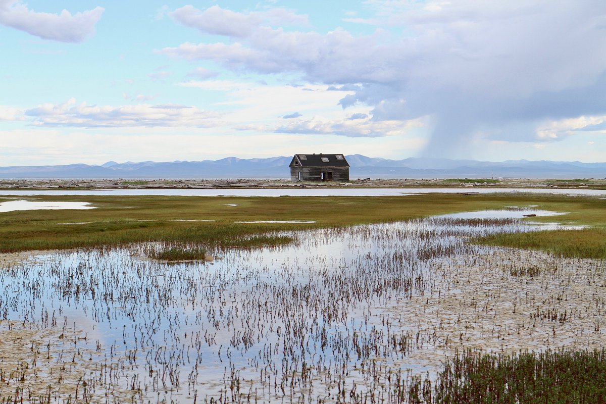 Browse 90+ supervisor-led exciting PhD projects in a whole range of topics across environmental sciences: bit.ly/3VheDyV 🪲🌊🌋❄️🪸🌳🌷🛰️🌍Applications deadline is 5 Jan noon - follow our step-by-step application process and guidance ed.ac.uk/e4-dtp/how-to-… #PhDposition