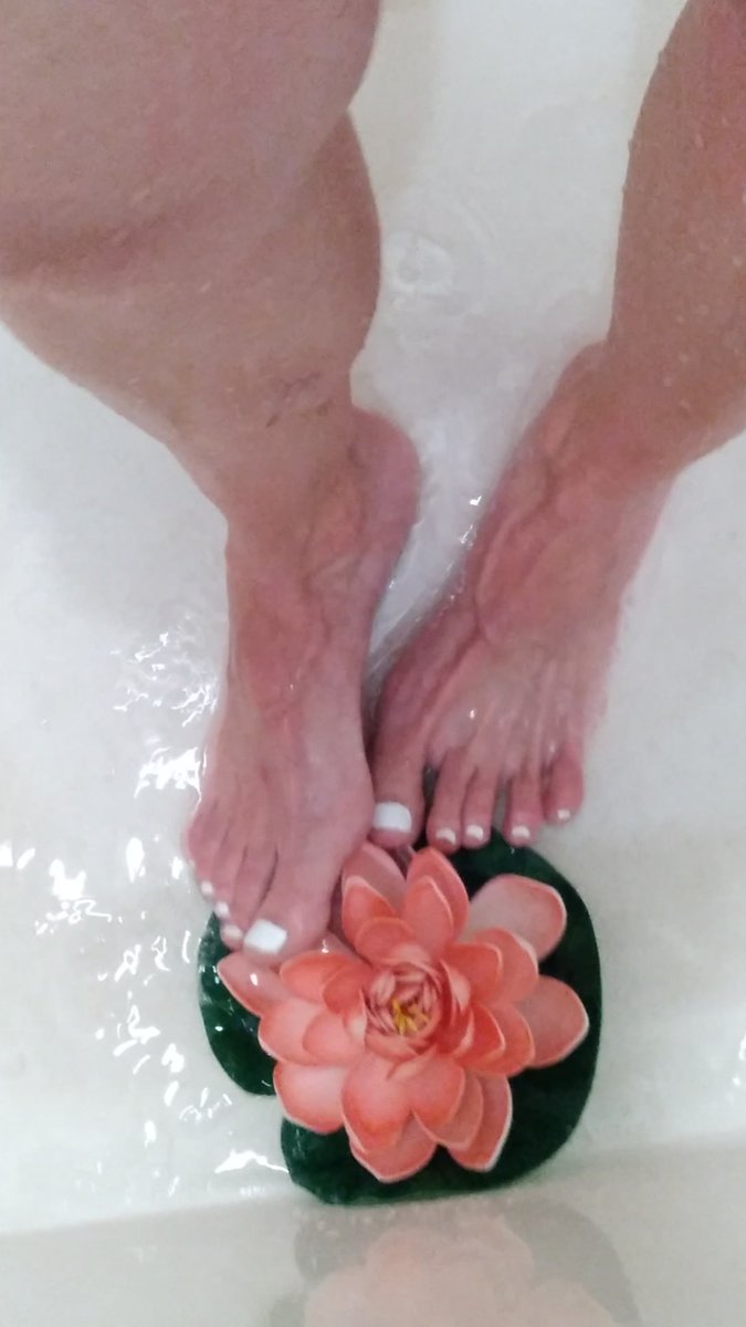 fishnetpet's tweet photo. @benstreet80 happy toesday! https://t.co/OxN0JVEE1h