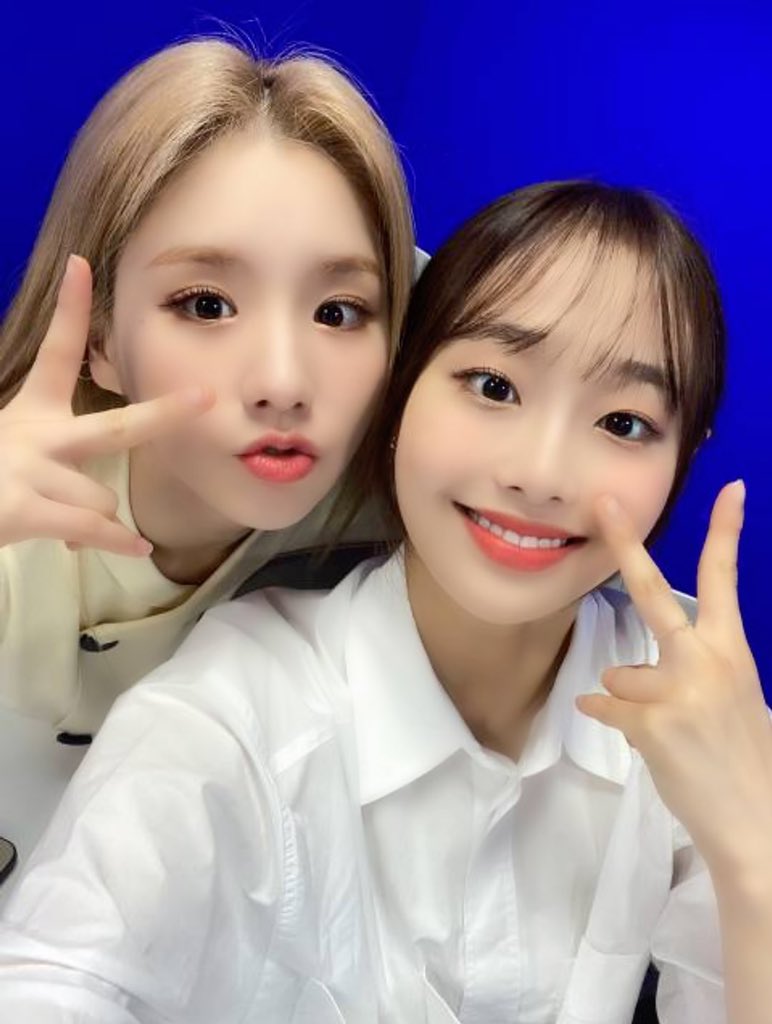 แบว close tweet media