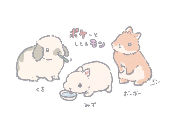 ポケー 