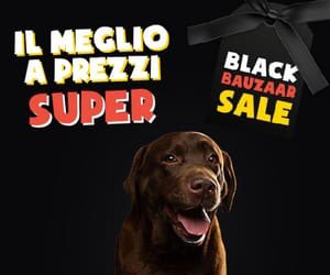 LidaSezOlbia's tweet photo. 𝘽𝙇𝘼𝘾𝙆 𝙁𝙍𝙄𝘿𝘼𝙔! 🤩🖤
Approfittate degli sconti fino al 50% #Bauzaar 🐶🐱
Passando per la nostra pagina di Raccolta fondi #Coolbeez https://t.co/z4Hk4LwPDY potrete aiutarci acquistando cibo per i nostri cani/gatti in super offerta e in più DONERETE GRATIS in cashback! https://t.co/7Lgs9WZPmF